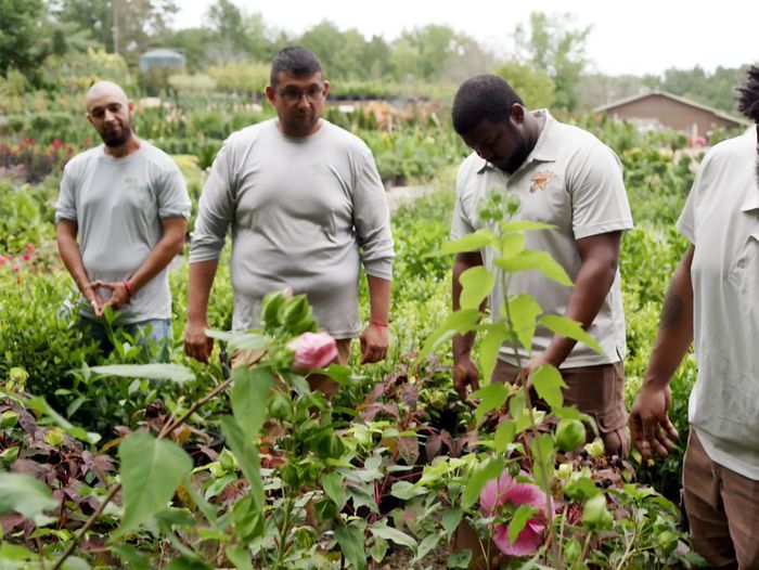 S22 E17: landscapers Donald Jordan and David Jones