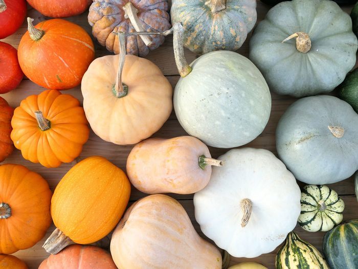 A variety of pumpkins in different colors