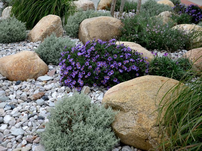 Rock_Garden_iStock_1284888158