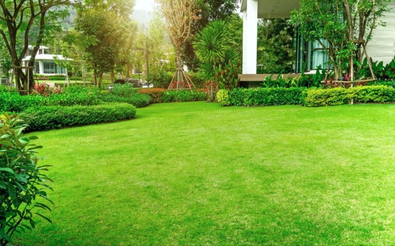 A lawn with bright green grass